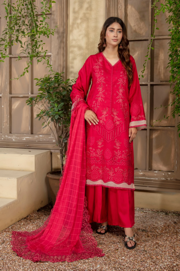 3 piece Embroidered suit