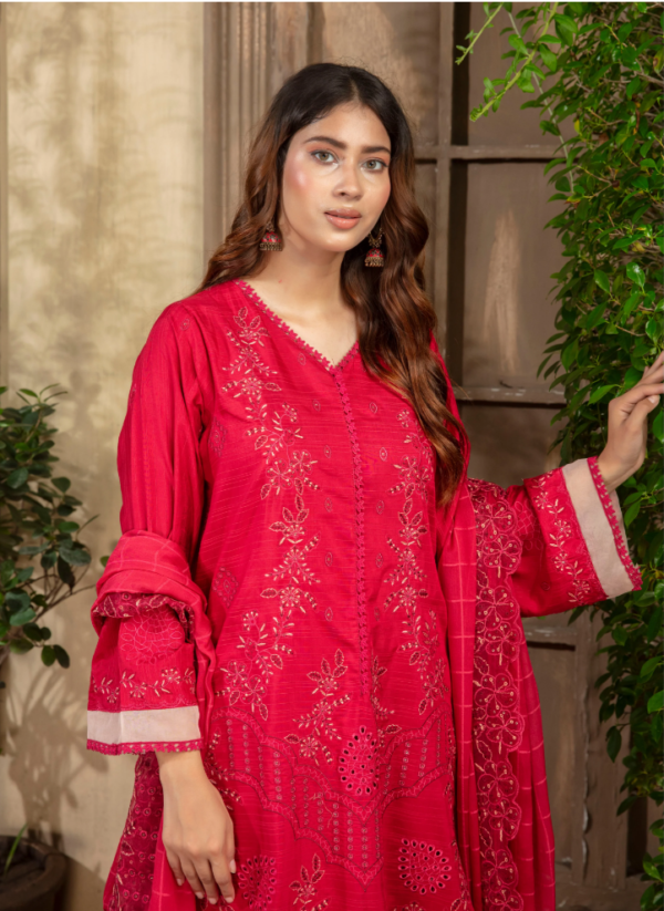 3 piece Embroidered suit
