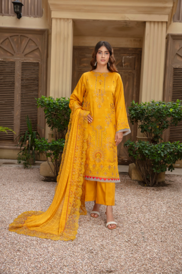 3 piece Embroidered suit