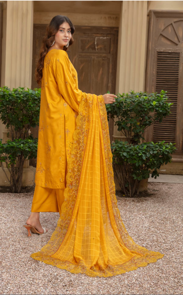 3 piece Embroidered suit