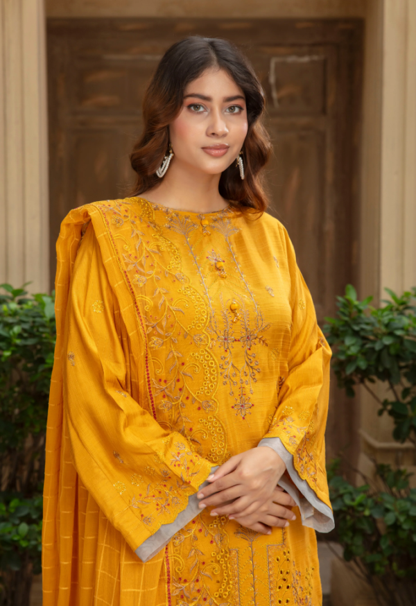 3 piece Embroidered suit