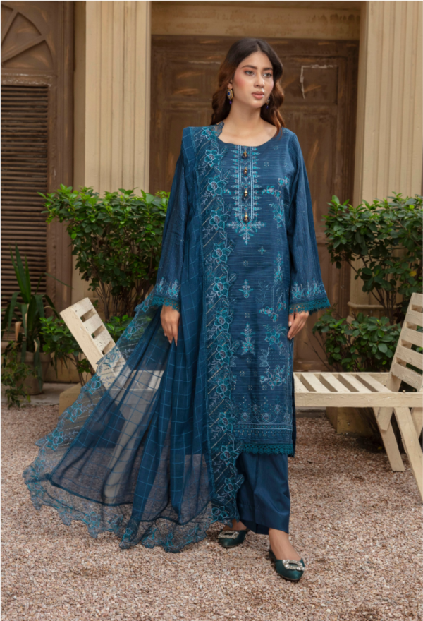 3 piece Embroidered suit