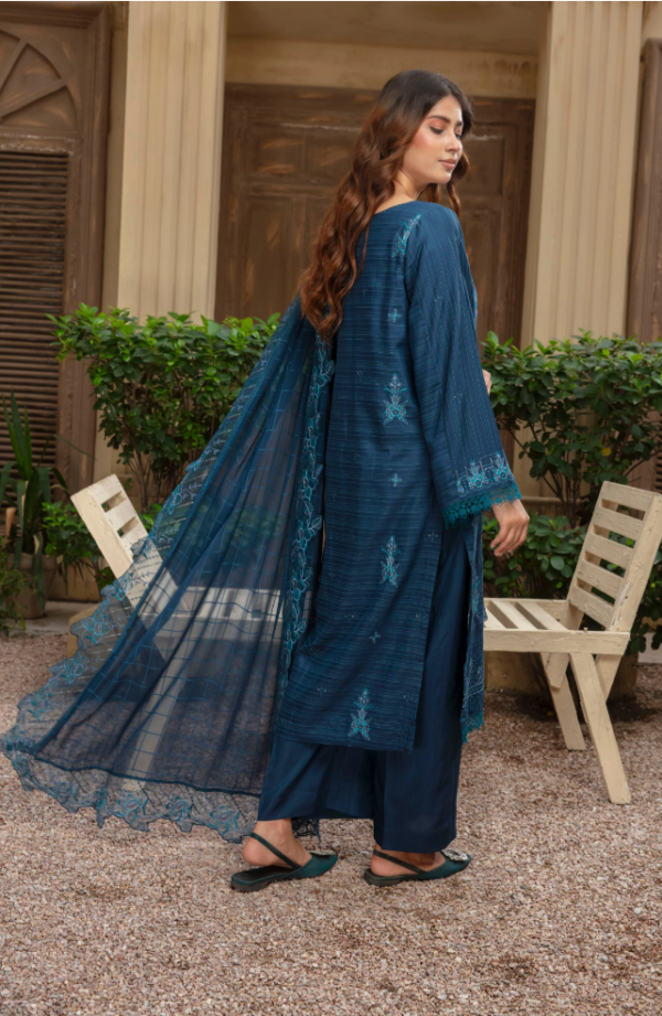 3 piece Embroidered suit