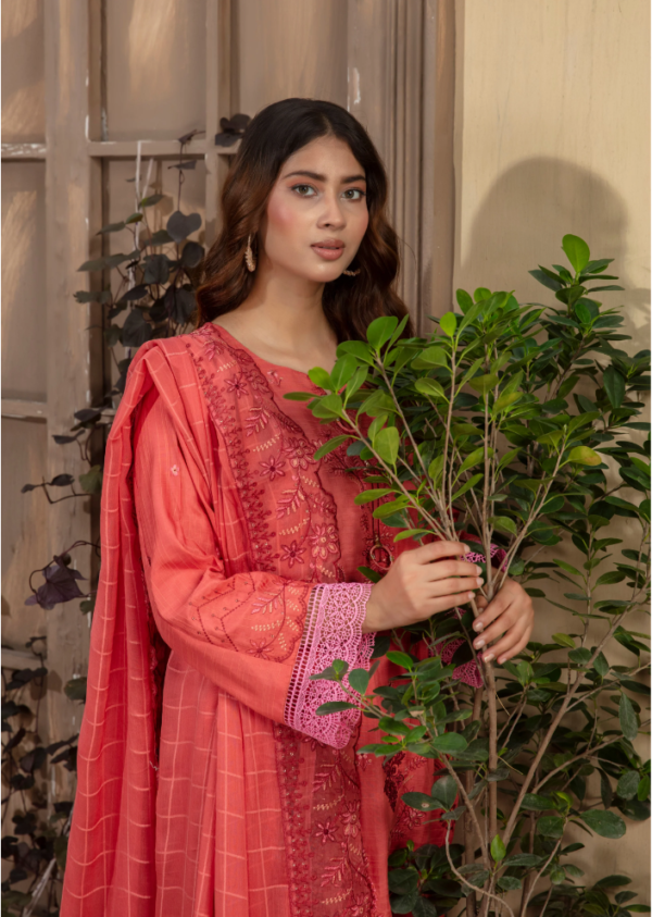 3 piece Embroidered suit