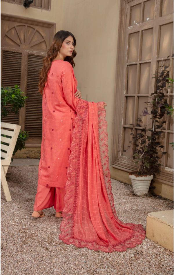 3 piece Embroidered suit