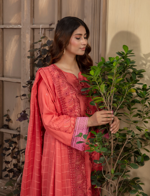 3 piece Embroidered suit