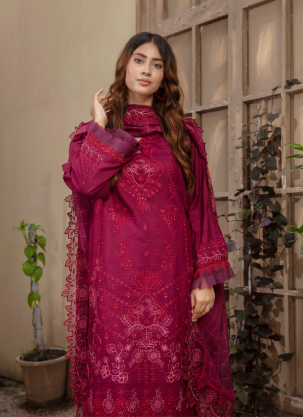 3 piece Embroidered suit