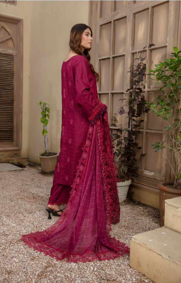 3 piece Embroidered suit