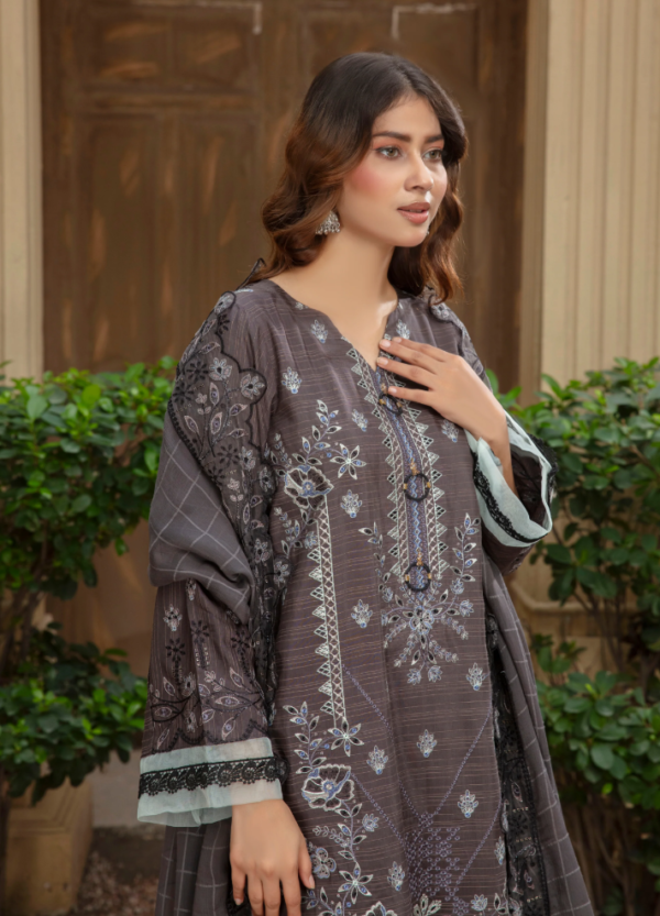 3 piece Embroidered suit
