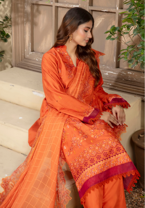 3 piece Embroidered suit