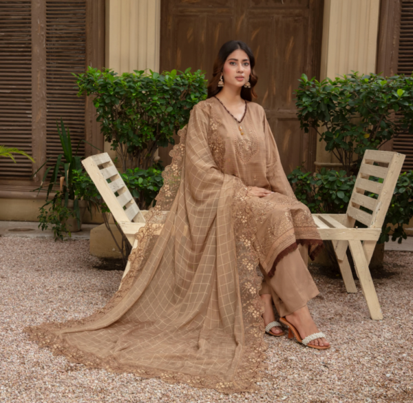 3 piece Embroidered suit