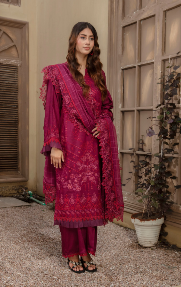 3 piece Embroidered suit