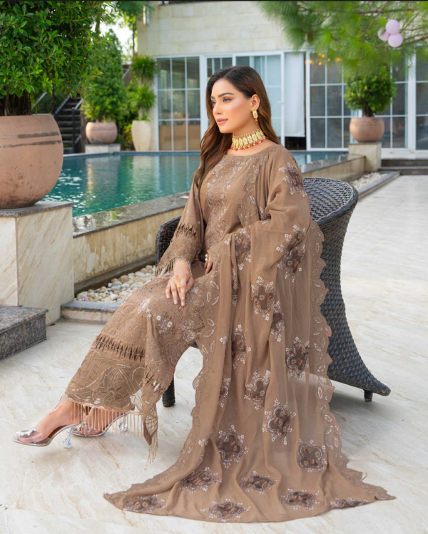3 piece Embroidered suit