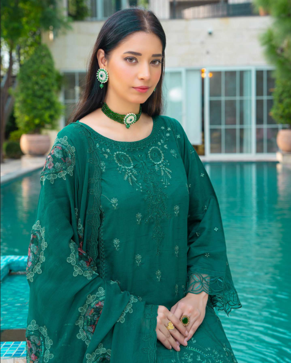 3 piece Embroidered suit