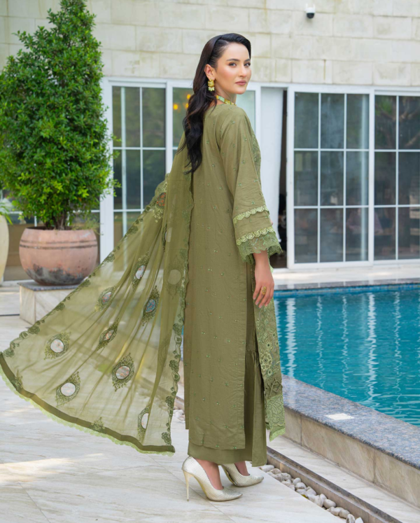 3 piece Embroidered suit