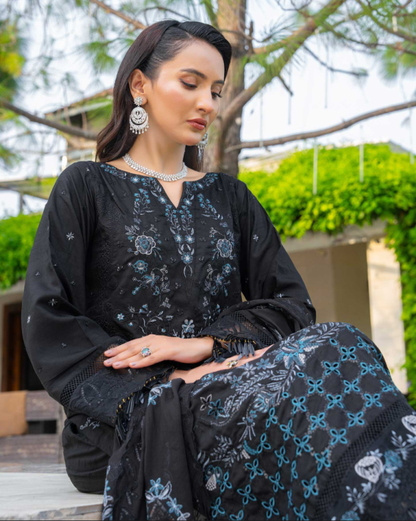 3 piece Embroidered suit