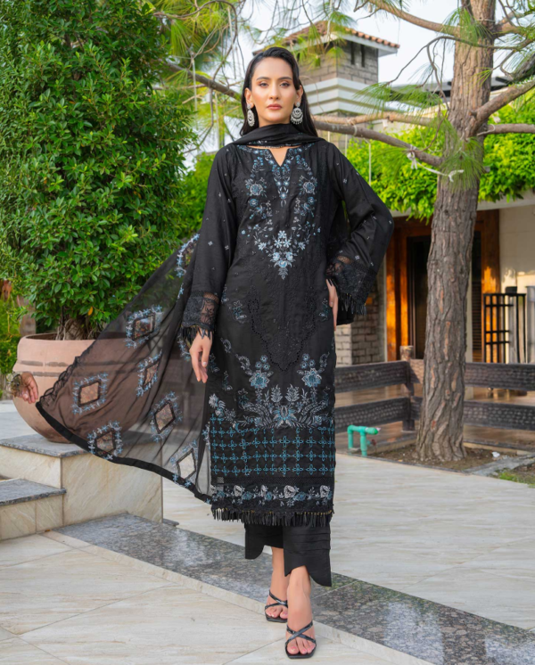 3 piece Embroidered suit