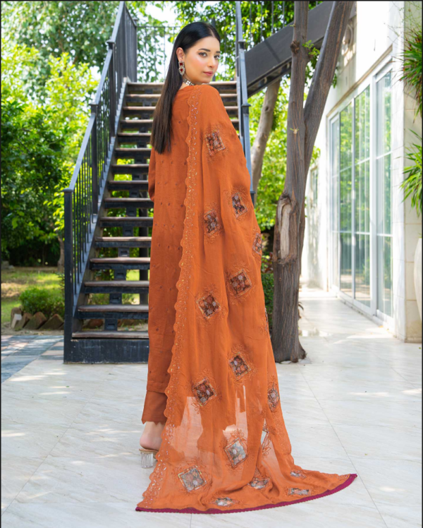 3 piece Embroidered suit
