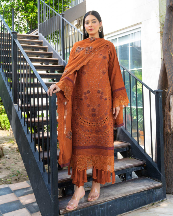 3 piece Embroidered suit