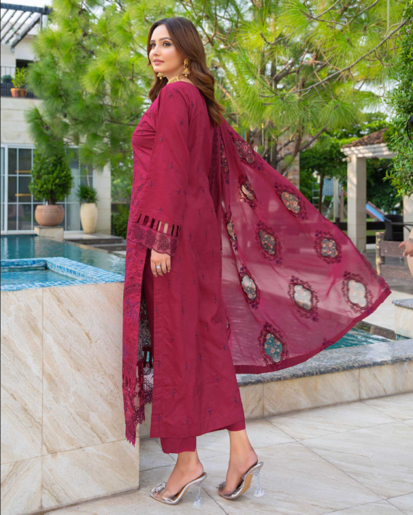 3 piece Embroidered suit