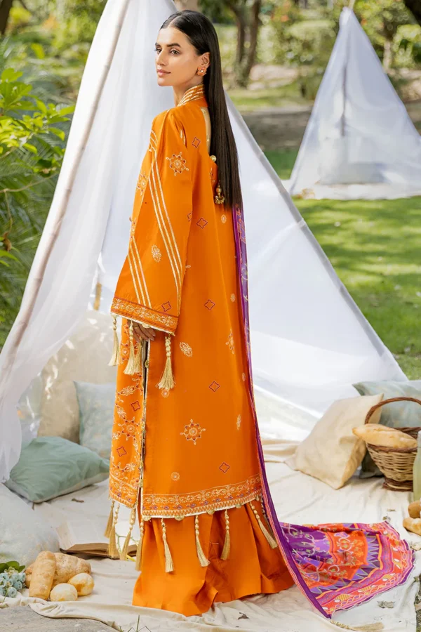 3 piece Emboridered Summer Collection