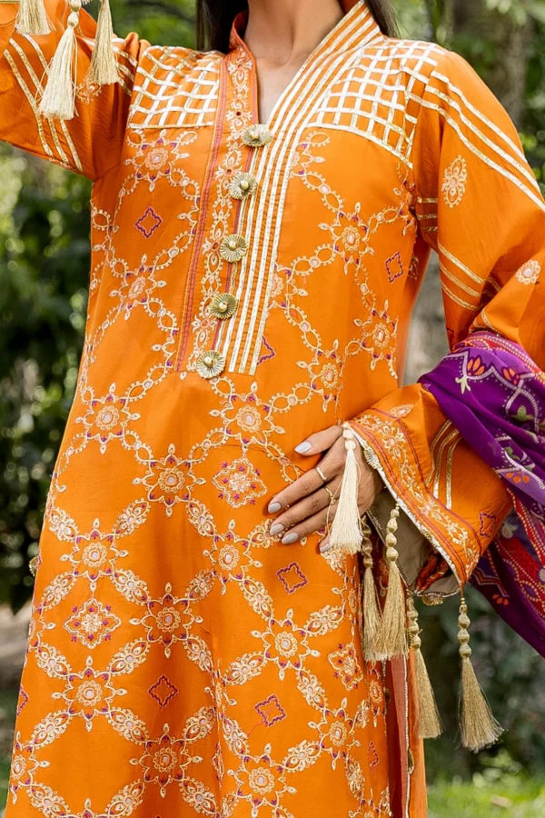 3 piece Emboridered Summer Collection