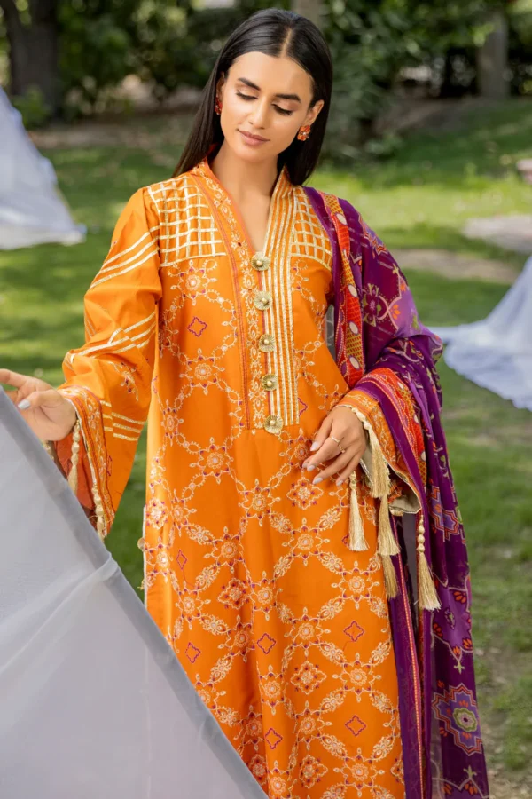3 piece Emboridered Summer Collection